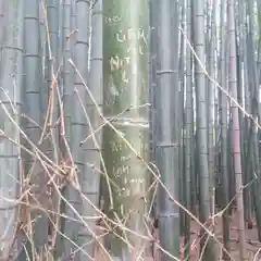 野宮神社の建物その他