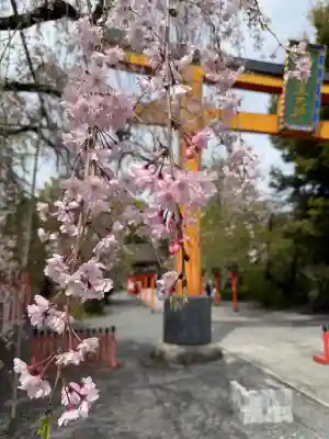 平野神社の{uncategorized: "未分類", other: "その他", undefined: "問題あり", building: "その他建物", grave: "お墓", sacred_gate: "鳥居", guardian: "狛犬", statue: "像", buddha: "仏像", history: "歴史", nature: "自然", garden: "庭園", animal: "動物", pagoda: "塔", temizu: "手水舎", mountain_gate: "山門・神門", sanctuary: "本殿・本堂", subordinate: "末社・摂社", art: "芸術", scenery: "景色", jizo: "地蔵", ema: "絵馬", goshuin: "御朱印", omikuji: "おみくじ", items: "授与品その他", amulet: "お守り", goshuincho: "御朱印帳", eats: "食事", festival: "お祭り", votive_dance: "神楽", shichigosan: "七五三参", wedding: "結婚式", experience: "体験その他", initially: "初詣", around: "周辺", anti_infection: "感染症対策"}