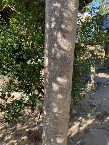 日吉神社(千葉県)