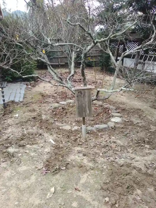 松山神社(愛媛県)