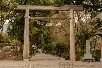 天岩戸神社(宮崎県)