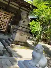 岡崎神社の狛犬