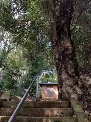 面足神社(千葉県)