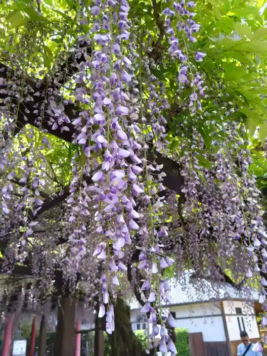 祐徳稲荷神社(佐賀県)