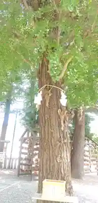 草加神社のその他建物