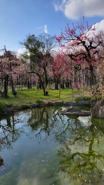 北野天満宮の{uncategorized: "未分類", other: "その他", undefined: "問題あり", building: "その他建物", grave: "お墓", sacred_gate: "鳥居", guardian: "狛犬", statue: "像", buddha: "仏像", history: "歴史", nature: "自然", garden: "庭園", animal: "動物", pagoda: "塔", temizu: "手水舎", mountain_gate: "山門・神門", sanctuary: "本殿・本堂", subordinate: "末社・摂社", art: "芸術", scenery: "景色", jizo: "地蔵", ema: "絵馬", goshuin: "御朱印", omikuji: "おみくじ", items: "授与品その他", amulet: "お守り", goshuincho: "御朱印帳", eats: "食事", festival: "お祭り", votive_dance: "神楽", shichigosan: "七五三参", wedding: "結婚式", experience: "体験その他", initially: "初詣", around: "周辺", anti_infection: "感染症対策"}