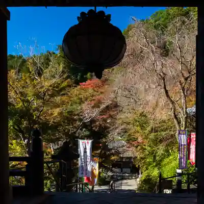 長谷寺(奈良県)