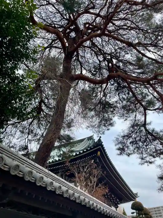 日乗院の{uncategorized: "未分類", other: "その他", undefined: "問題あり", building: "その他建物", grave: "お墓", sacred_gate: "鳥居", guardian: "狛犬", statue: "像", buddha: "仏像", history: "歴史", nature: "自然", garden: "庭園", animal: "動物", pagoda: "塔", temizu: "手水舎", mountain_gate: "山門・神門", sanctuary: "本殿・本堂", subordinate: "末社・摂社", art: "芸術", scenery: "景色", jizo: "地蔵", ema: "絵馬", goshuin: "御朱印", omikuji: "おみくじ", items: "授与品その他", amulet: "お守り", goshuincho: "御朱印帳", eats: "食事", festival: "お祭り", votive_dance: "神楽", shichigosan: "七五三参", wedding: "結婚式", experience: "体験その他", initially: "初詣", around: "周辺", anti_infection: "感染症対策"}