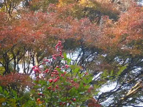 瑞泉寺(神奈川県)