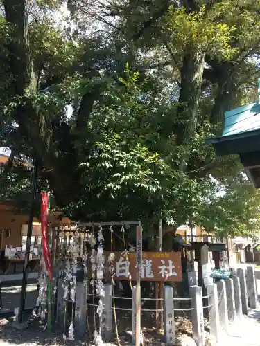 伊奴神社(愛知県)