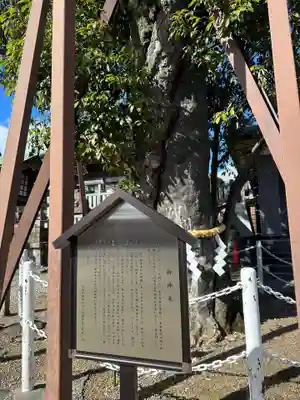 村國真墨田神社(岐阜県)