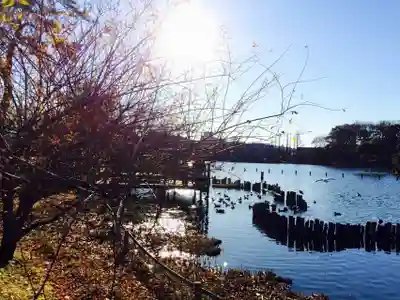 千束八幡神社の周辺