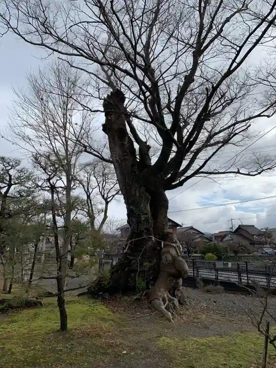 日枝神社(滋賀県)