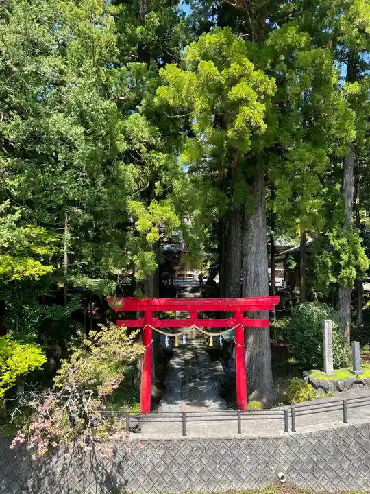 須山浅間神社(静岡県)