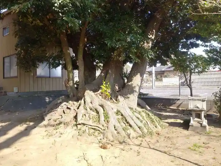 高浜神社の自然