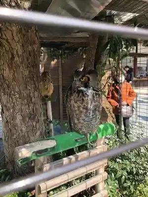 宮地嶽神社(福岡県)