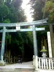 北口本宮冨士浅間神社の鳥居