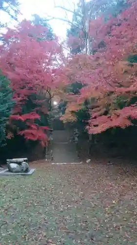 諏訪神社(鳥取県)