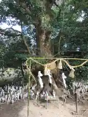 阿太加夜神社の末社