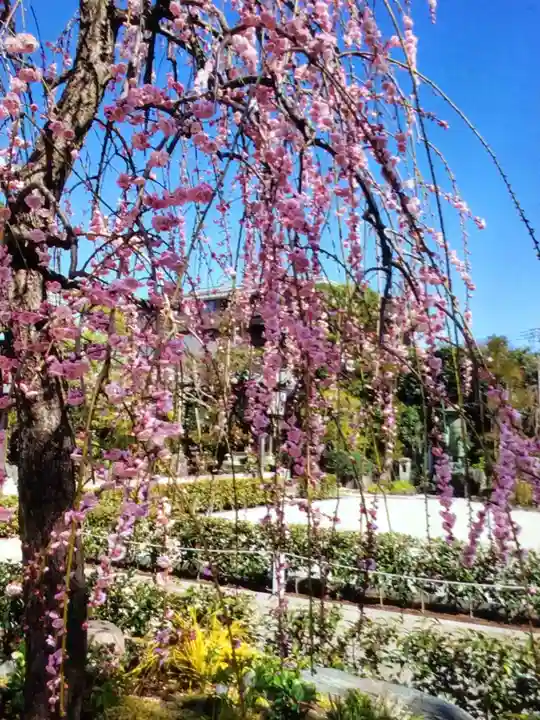 常性寺(東京都)