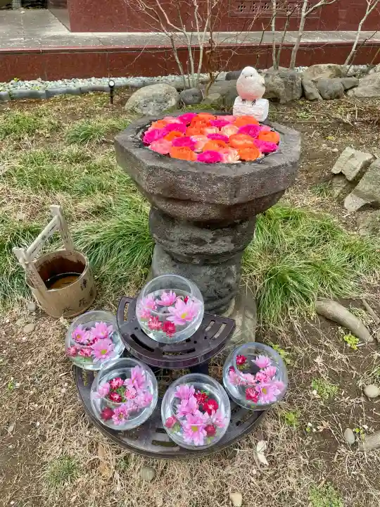 法輪寺の{uncategorized: "未分類", other: "その他", undefined: "問題あり", building: "その他建物", grave: "お墓", sacred_gate: "鳥居", guardian: "狛犬", statue: "像", buddha: "仏像", history: "歴史", nature: "自然", garden: "庭園", animal: "動物", pagoda: "塔", temizu: "手水舎", mountain_gate: "山門・神門", sanctuary: "本殿・本堂", subordinate: "末社・摂社", art: "芸術", scenery: "景色", jizo: "地蔵", ema: "絵馬", goshuin: "御朱印", omikuji: "おみくじ", items: "授与品その他", amulet: "お守り", goshuincho: "御朱印帳", eats: "食事", festival: "お祭り", votive_dance: "神楽", shichigosan: "七五三参", wedding: "結婚式", experience: "体験その他", initially: "初詣", around: "周辺", anti_infection: "感染症対策"}