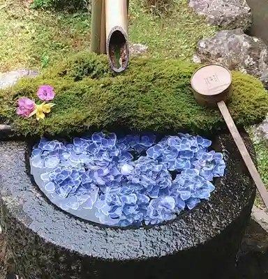 柳谷観音 楊谷寺の手水舎