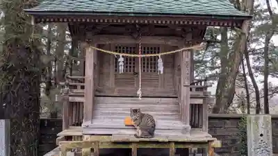 五色濱神社の動物