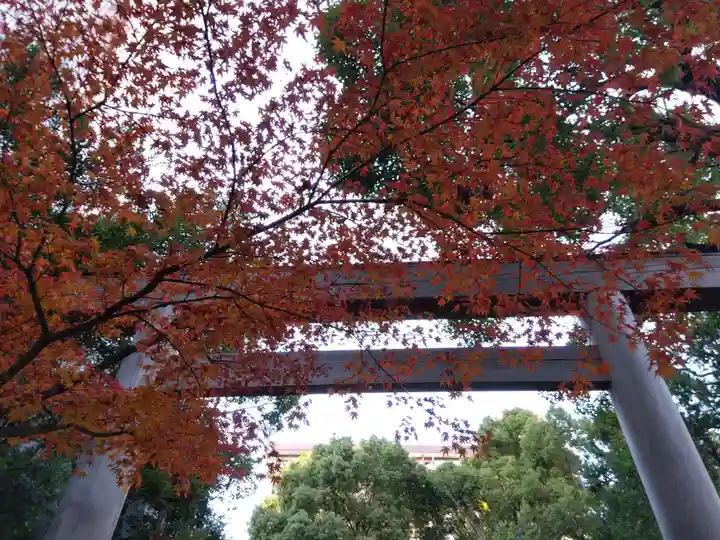 洲嵜神社(愛知県)