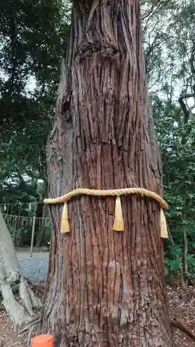 息栖神社の自然