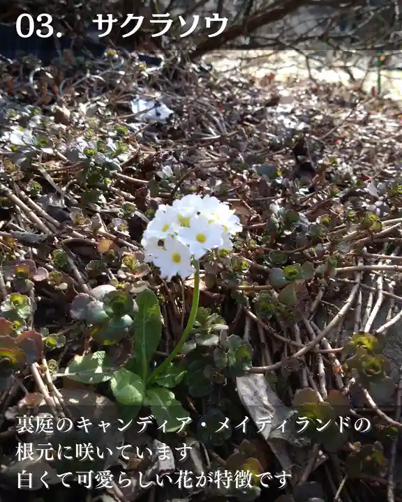 宝光寺(北海道)