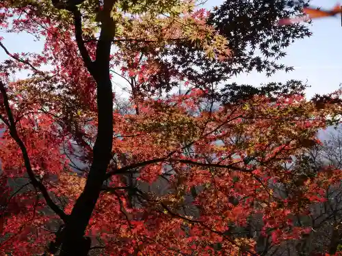 楽法寺（雨引観音）の自然