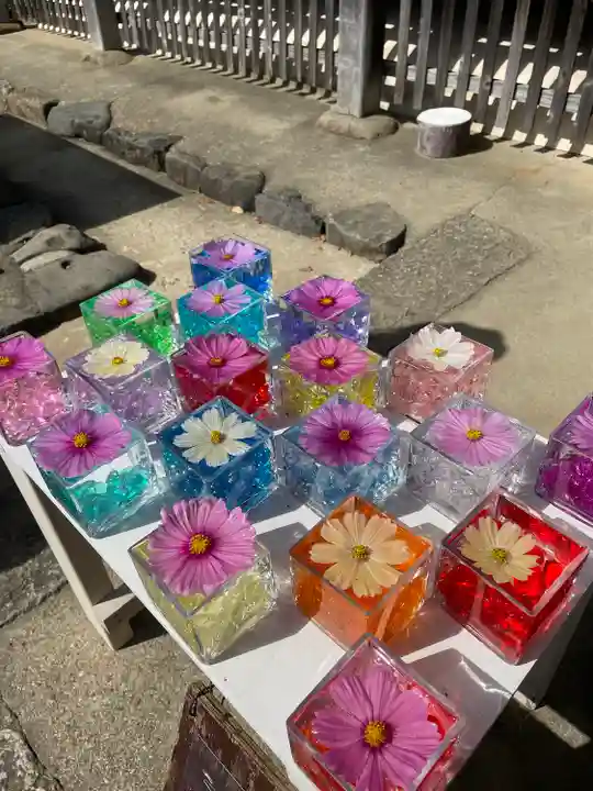 般若寺 ❁コスモス寺❁(奈良県)