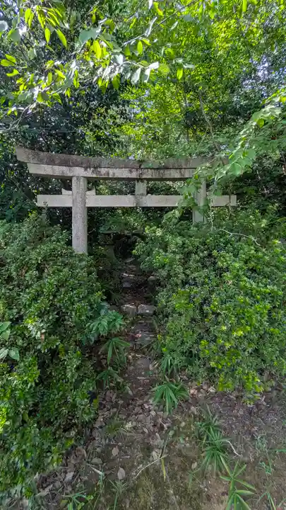 竹中稲荷神社(吉田神社末社)(京都府)