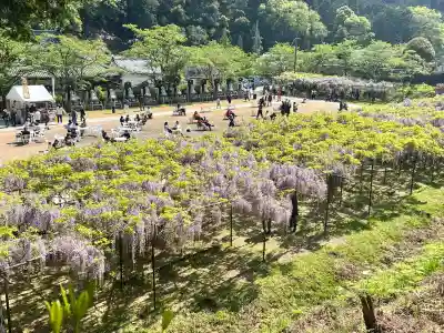 天台宗 五大山 白毫寺(兵庫県)