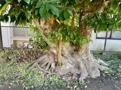 巽神社(神奈川県)