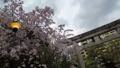 晴明神社(京都府)
