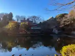 井の頭弁財天（大盛寺）(東京都)