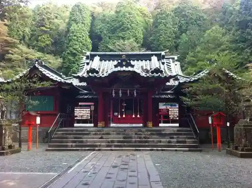 箱根神社の本殿