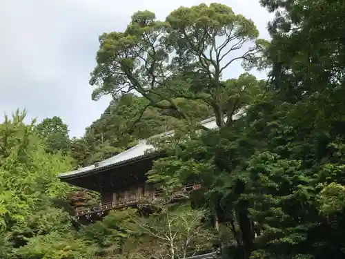 圓教寺の景色