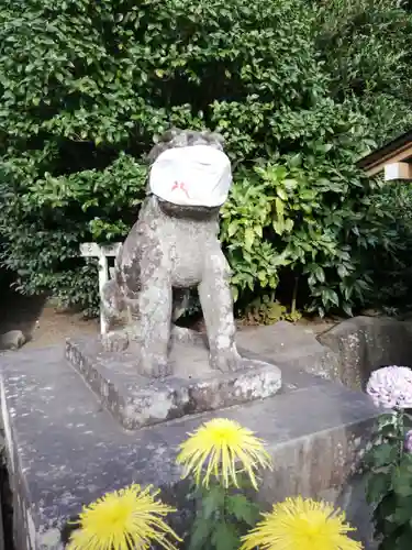 鶴岡八幡宮の狛犬