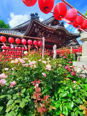 おふさ観音（観音寺）の本殿・本堂