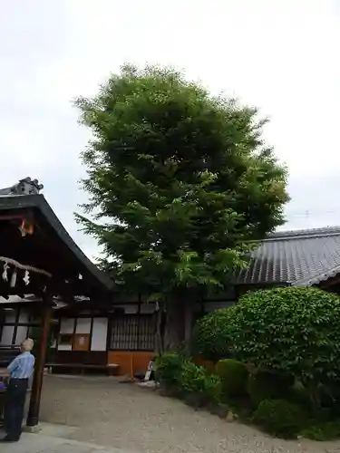 三輪坐恵比須神社のその他建物