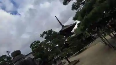 智恩寺(京都府)