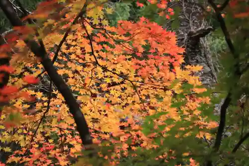 三春大神宮の庭園