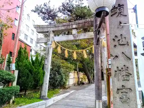 蝮ヶ池八幡宮の鳥居