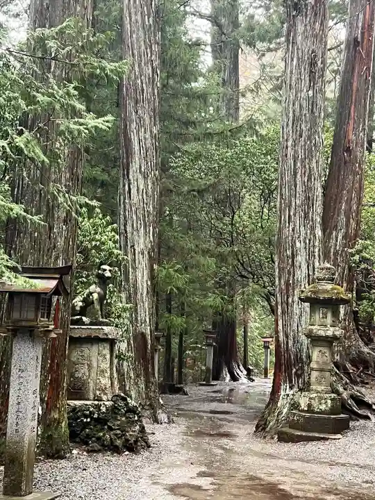三峯神社(埼玉県)