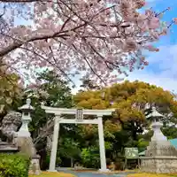 桜ヶ池池宮神社(静岡県)