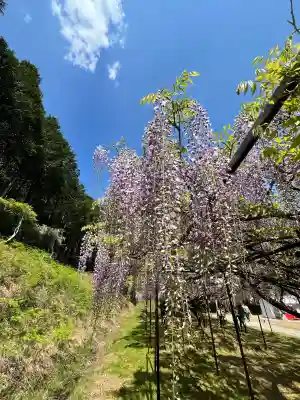 天台宗 五大山 白毫寺(兵庫県)