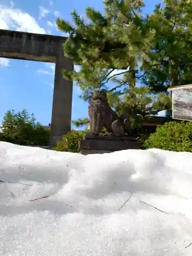 福井神社の狛犬