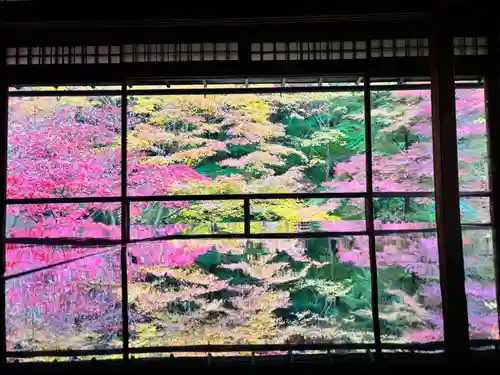 光明寺瑠璃光院(京都府)